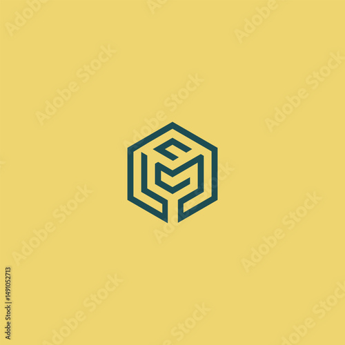 premium company logo Design 
