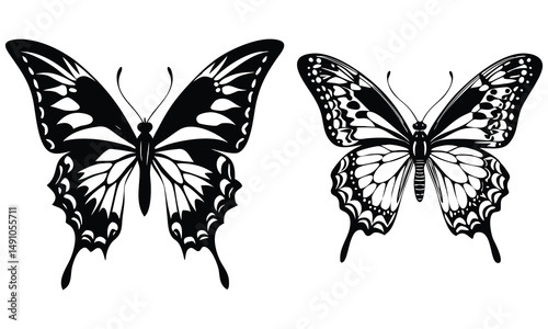 Black butterfly vector illustration, a beautiful insect with delicate wings in flight