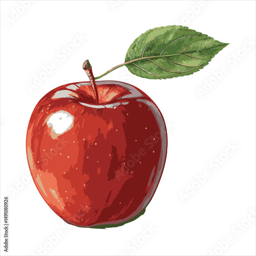 Apple  Vector