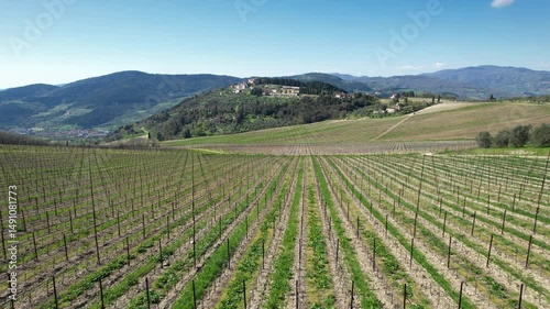Wallpaper Mural Flying over the rows of very young vineyards in front of  village of Nipozzano, near Florence. Tuscany, Italy. Torontodigital.ca