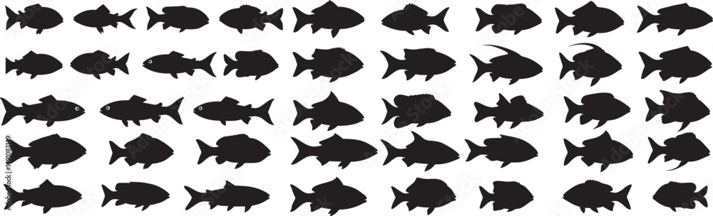 Fototapeta premium Black and white fish silhouette collection vector illustration aquarium fish shapes set ocean life icons 100