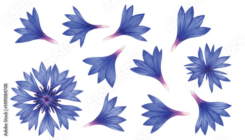 Adobe Illustrator Artwork