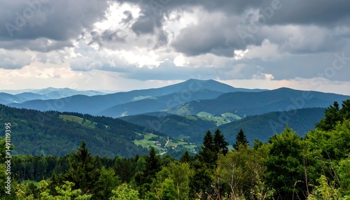 Forest hills under a cloudy sky, rolling into hazy blue mountains