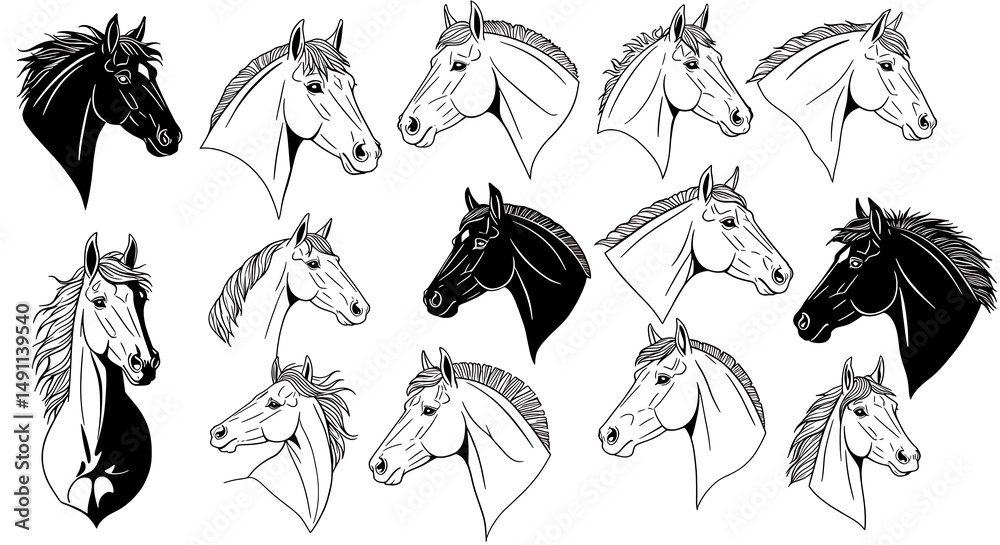 Naklejka premium Equine Elegance: A Monochrome Study