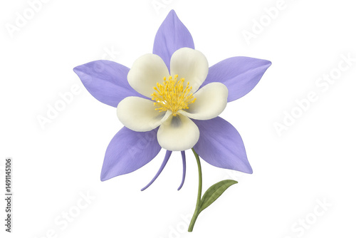 Beautiful purple and white columbine flower blooming on a transparent background, perfect for nature-themed projects