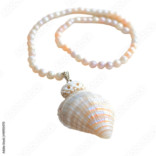 Elegant Bohemian Shell Necklace with a Delicate Arr Isolated on Transparent Background