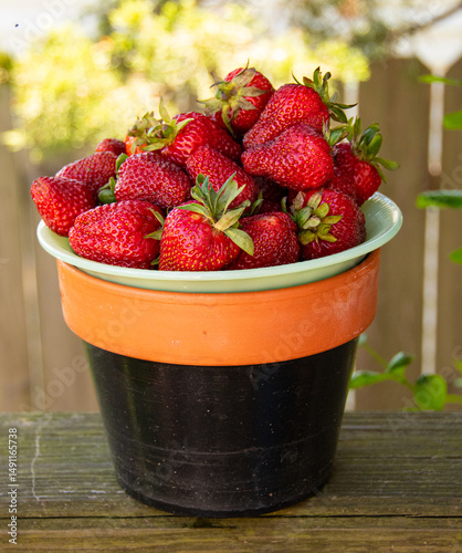 A bowlful of vibrant, freshly picked strawberries for a healthy summer snack or dessert