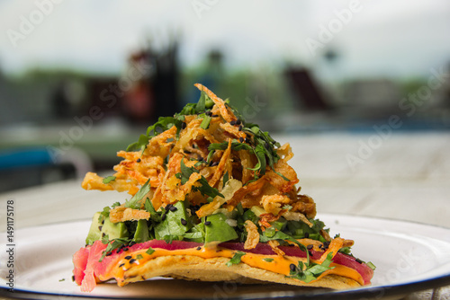 An elevated tostada featuring vibrant layers of tuna and fresh vegetables topped with crunchy fried onions, an aesthetic delight that showcases bold colors and textures in modern cuisine. photo