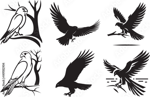 Three elegant black and white falcon silhouettes perched on branches