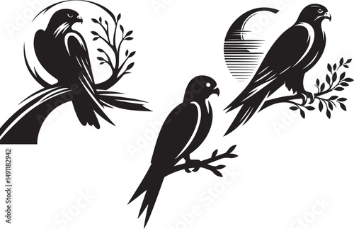 Three elegant black and white falcon silhouettes perched on branches