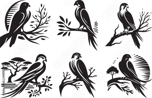 Three elegant black and white falcon silhouettes perched on branches