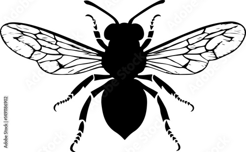 Illustration of a Honeybee Silhouette
