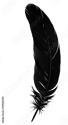 Raven's Shadow: A Single Black Feather