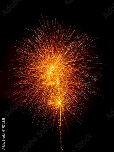 Colorful fireworks light up the night sky during a celebration in a festive atmosphere
