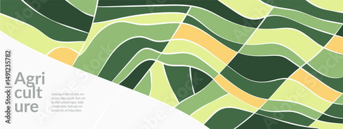 Rice field, vineyards, and wheat in Japan, Vietnam, and Korea. Green patches, paddy, tea, and grain. Ecological layout, agricultural nature, environmental themes. Vibrant abstract graphic design