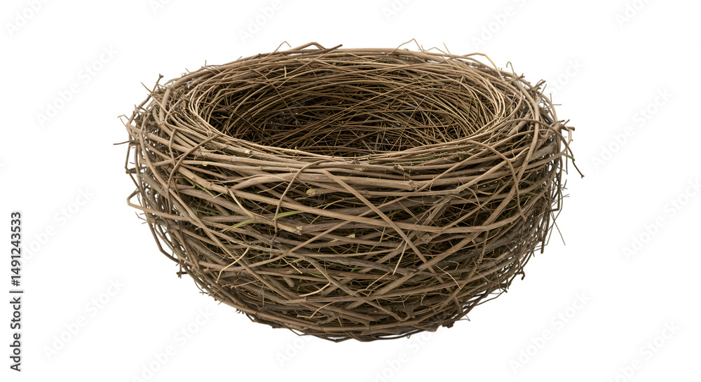 Obraz premium empty bird nest isolated on white