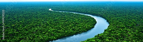 Aerial view of river in lush rainforest