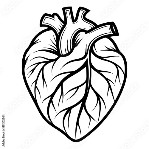 A detailed illustration of a human heart, rendered in a striking monochrome palette, offering a glimpse into the intricate architecture of the human body. coloring page