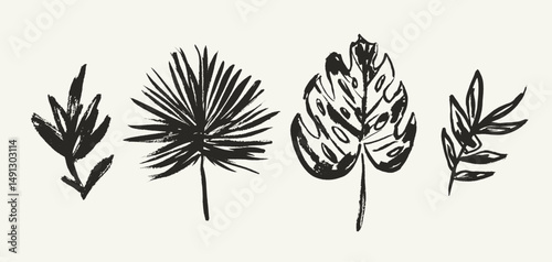 Artistic set of grunge textured vector dark brown ink hand dawning tropical leaves, fern, palm, monstera leaf. Sketch paintbrush botanical elements for textile pattern design, greeting card, logo