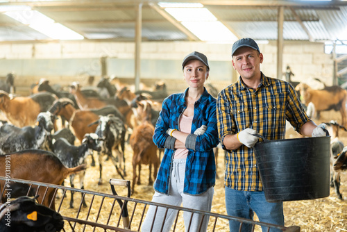 Wallpaper Mural Young male and female farmer employees talking during feeding together goat in livestock farm. Concept of farming and animal husbandry Torontodigital.ca
