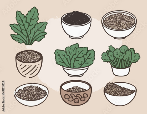 Set of Outline Icons Featuring Superfoods Like Quinoa, Kale, and Chia Seeds for Nutrition App Interfaces.