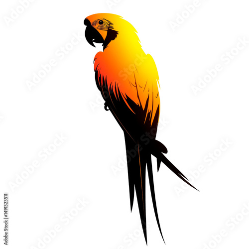 Isolated colorful macaw parrot silhouette, tropical bird, cut out transparent