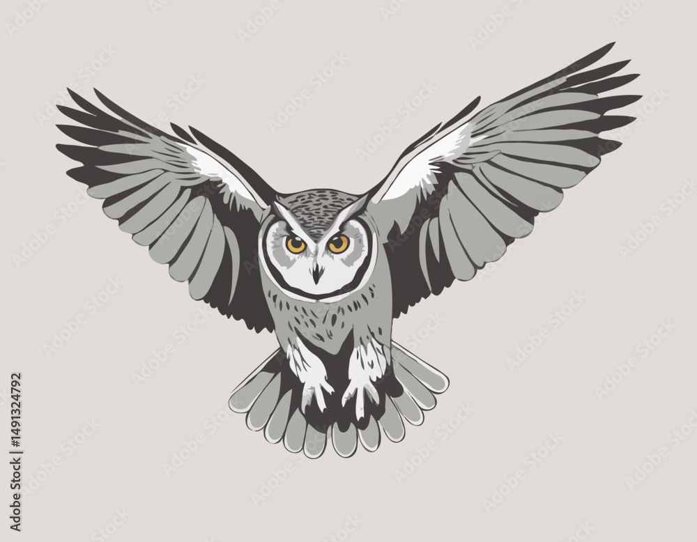 Grand hibou gris volant vers moi/Great grey owl flying towards me