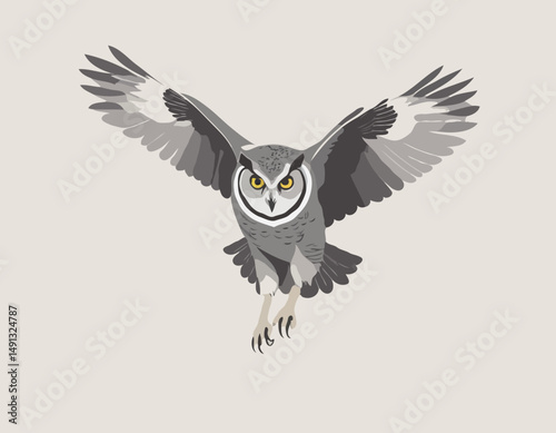 Grand hibou gris volant vers moi/Great grey owl flying towards me