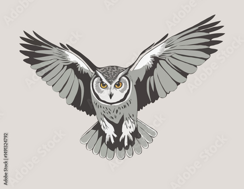 Grand hibou gris volant vers moi/Great grey owl flying towards me