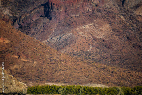 La Isla del Espíritu Santo Baja California Sur