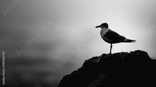 A seagulls silhouette, silhouette vector