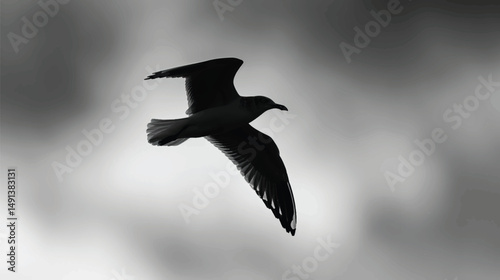 A seagulls silhouette, silhouette vector