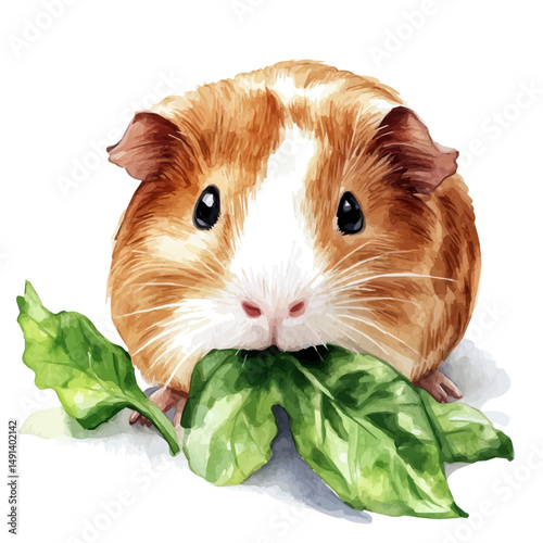 Guinea Pig Chewing A Leaf, watercolor illustration vector, high quality, isolated on a white background.