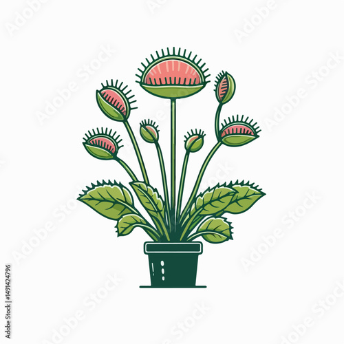venus flytrap plant vector illustration