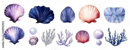 Ocean shells, pearls, coral. White background. Design element