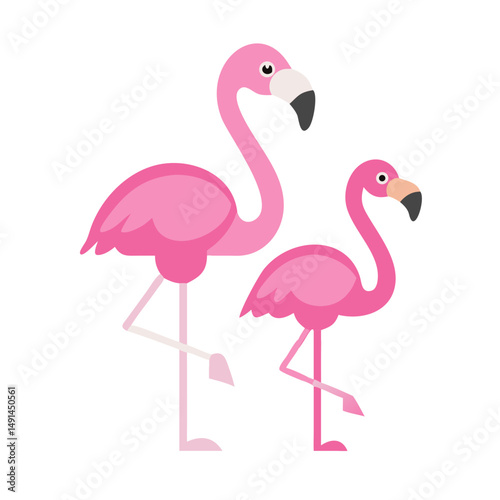 pink flamingo 