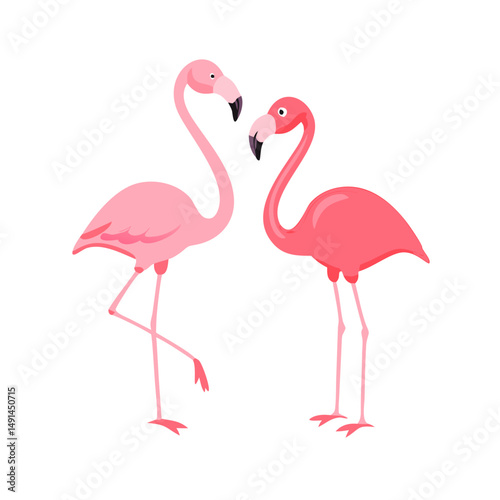 two pink flamingos