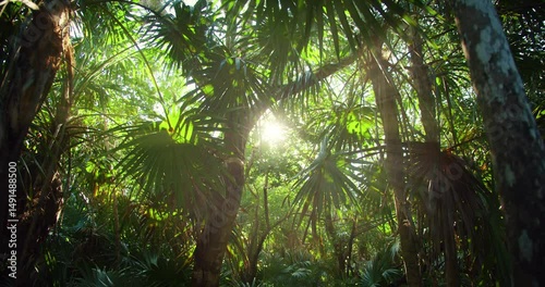 Wallpaper Mural Sunlight filtering through dense tropical foliage in a lush jungle setting Torontodigital.ca