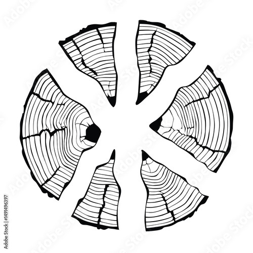Logs of firewood, wood texture, tree rings pattern, vector design, isolated on white background