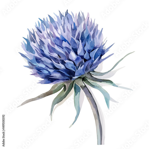 Globe Thistle With Abstract Shadows, watercolor vector, high quality, isolated on a white background.