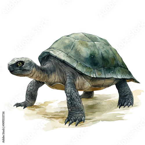 watercolor vector of Giant Prehistoric Turtle In A Shallow Lagoon, high quality, isolated on a white background.