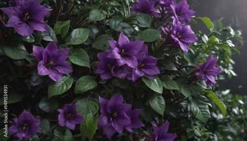 Intense purple petals, lush green leaves  Close-up botanical detail , bloom, macro, purple