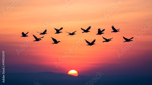 Fototapeta Naklejka Na Ścianę i Meble -  Flock of birds flying in the vibrant sunset sky