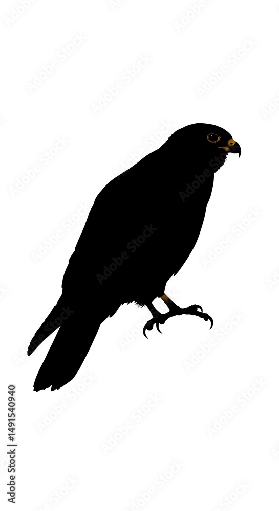 Obraz premium Shadow of the Watcher