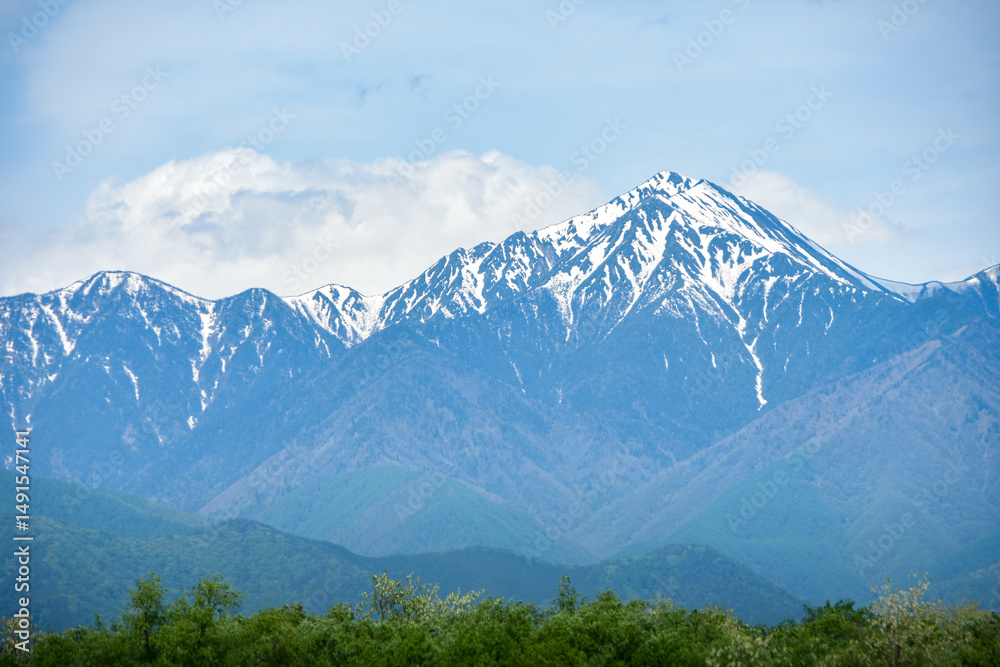 Fototapeta premium 春の信州の絶景 残雪残る北アルプス
