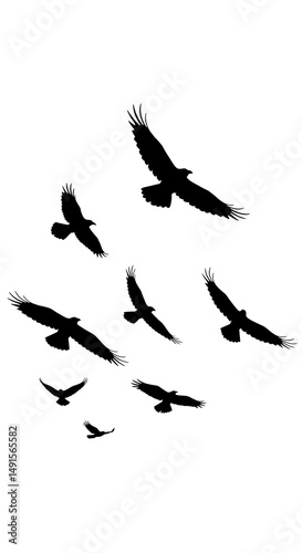 Raven's Dance