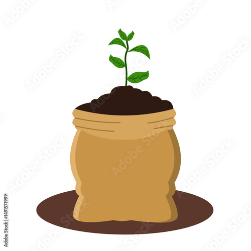 Fertile plants in polybags, filled with compost fertilizer