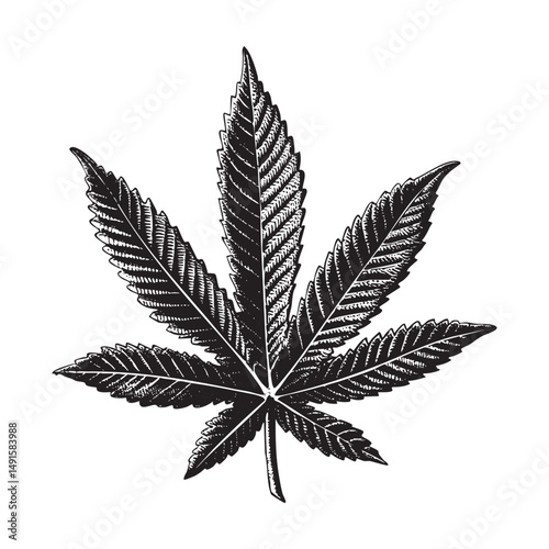 marijuana leaf vector illustration
