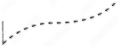 Ants trail line. Row of ants moves in one direction. Little ant trail line isolated on white background.