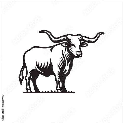Black and White Vector of  Texas Longhorn Cow – Easy Tracing Illustration